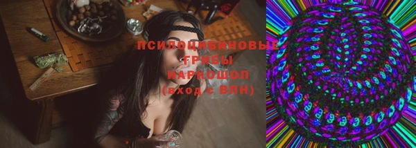 гашик Армянск