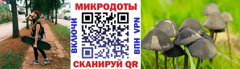 Галлюциногенные грибы прущие грибы  что такое наркотик  Сланцы 